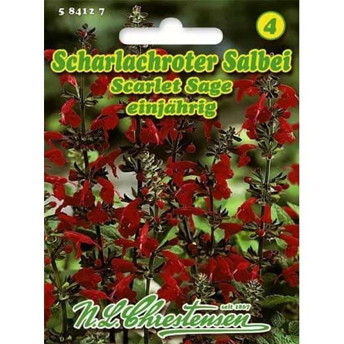 Salbei Scarlet Sage interface.image 1 interface.art 96446