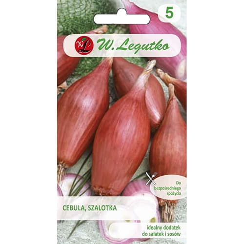 Schalotte Zebrune interface.art Bild 1 Schalotte Zebrune interface.image 1 interface.art 96816