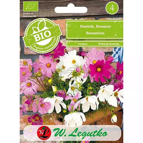 Schmuckkörbchen Mischung interface.image 1 interface.art 87085