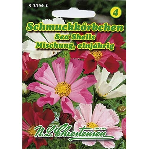 Schmuckkörbchen Sea Shells Mischung interface.image 1 interface.art 87805