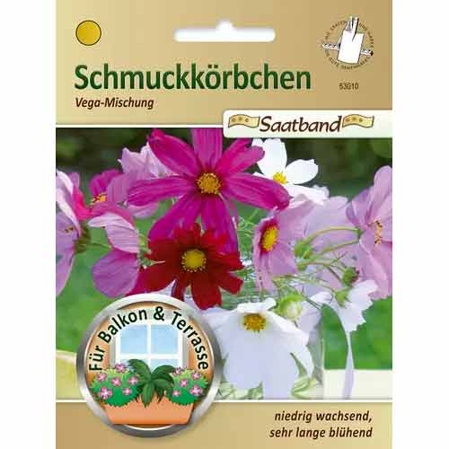 Schmuckkörbchen Vega Mischung Chrestensen  interface.art Bild 1 Schmuckkörbchen Vega Mischung Chrestensen  interface.image 1 interface.art 50027