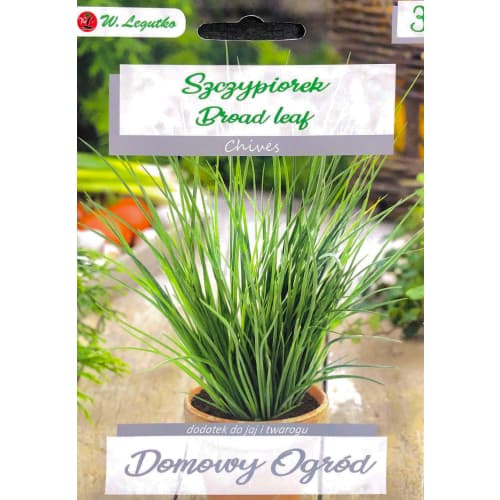 Schnittlauf Broad Leaf interface.art Bild 1 Schnittlauf Broad Leaf interface.image 1 interface.art 69656