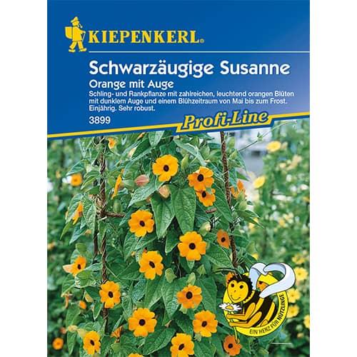 Thunbergia Orange mit Auge interface.art Bild 1 Thunbergia Orange mit Auge interface.image 1 interface.art 86311