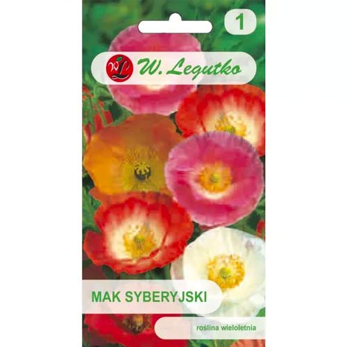 Sibirischer Mohn, mischung Legutko interface.image 1 interface.art 78608