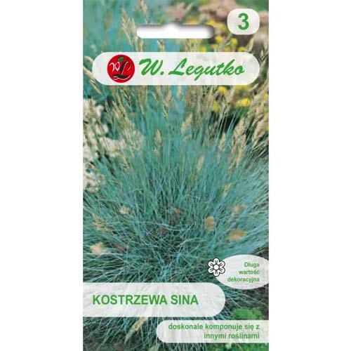 Silber-Blauschwingel Legutko interface.image 1 interface.art 78568