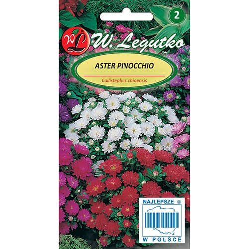 Sommeraster Pinocchio interface.image 1 interface.art 86813