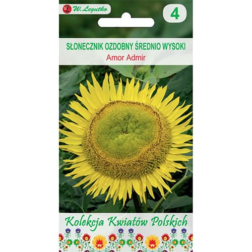 Sonnenblume Amor Admir interface.image 1 interface.art 86732