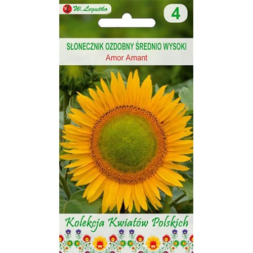 Sonnenblume Amor Amant interface.image 1 interface.art 86736