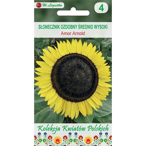 Sonnenblume Amor Arnold interface.image 1 interface.art 86731