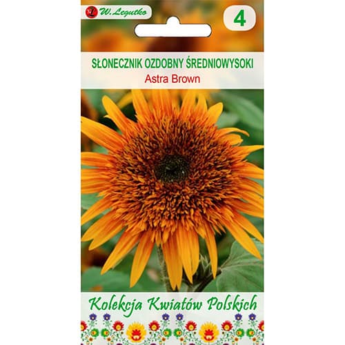 Sonnenblume Astra Brown interface.image 1 interface.art 96746