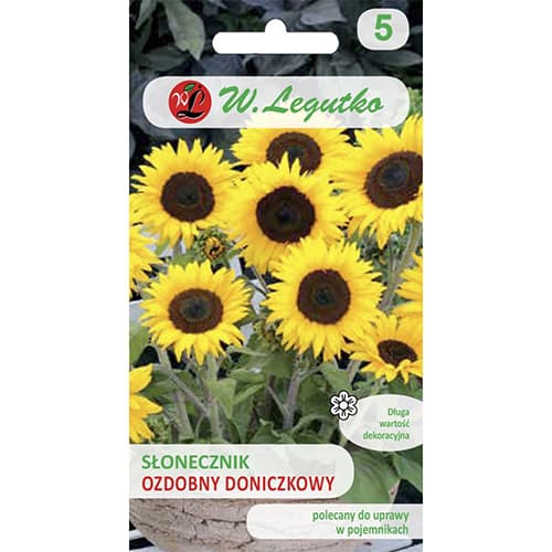 Sonnenblume Polino Cola interface.image 1 interface.art 69627