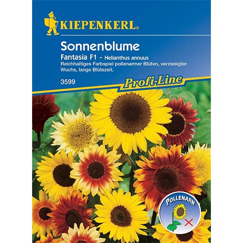 Sonnenblume Fantasia F1 interface.image 1 interface.art 86320