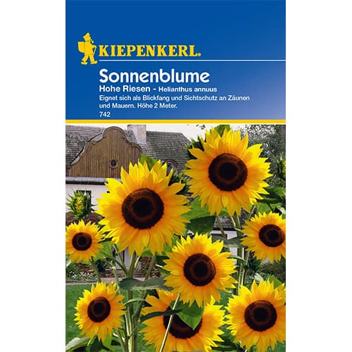 Sonnenblume Hohe Riesen interface.image 1 interface.art 77406