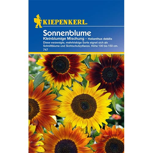Sonnenblume Kleinblumige Mischung interface.image 1 interface.art 77407