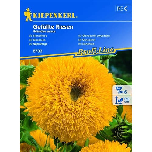 Sonnenblume Gefüllte Riesen Kiepenkerl interface.image 1 interface.art 96539