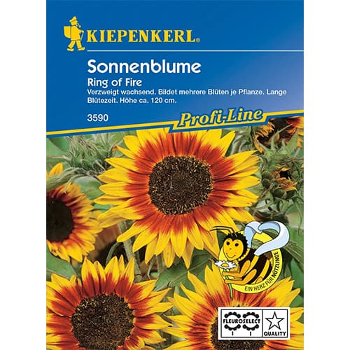 Sonnenblume Ring of Fire Kiepenkerl interface.image 1 interface.art 87262