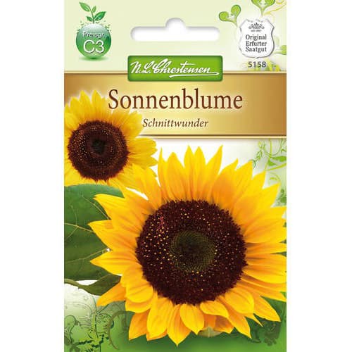 Sonnenblume Schnittwunder Chrestensen interface.image 1 interface.art 78916