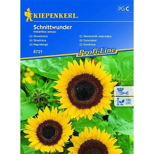 Sonnenblume Schnittwunder interface.image 1 interface.art 96540