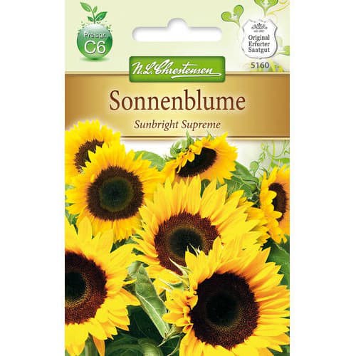 Sonnenblume Sunbright Supreme interface.image 1 interface.art 78917