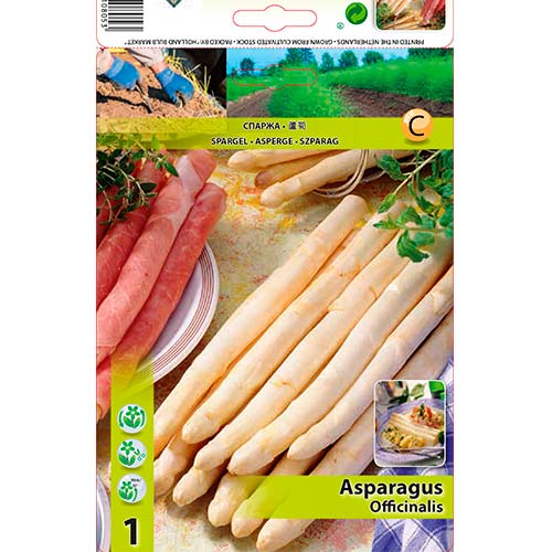 Spargel (Asparagus) interface.image 1 interface.art 70501