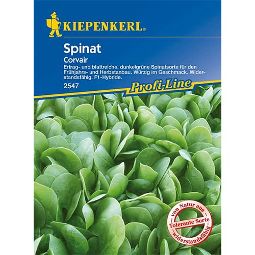 Spinat Corvair F1 interface.image 1 interface.art 86533