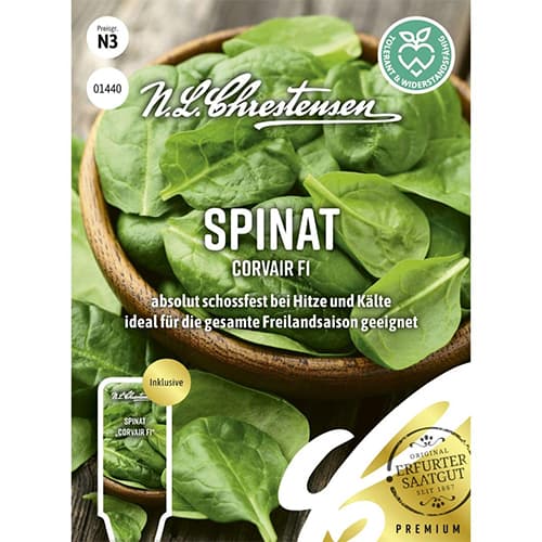 Spinat Corvair F1 Chrestensen interface.image 1 interface.art 96497