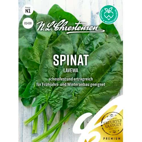 Spinat Lavewa Chrestensen  interface.art Bild 1 Spinat Lavewa Chrestensen  interface.image 1 interface.art 50055