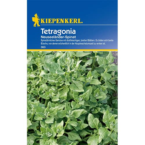 Spinat - Tetragonia Neuseeländer interface.image 1 interface.art 77497