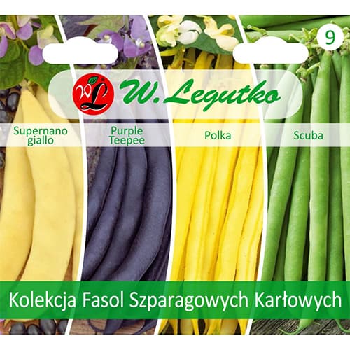 Stangebohne - Kollektion interface.art Bild 1 Stangebohne - Kollektion interface.image 1 interface.art 96838