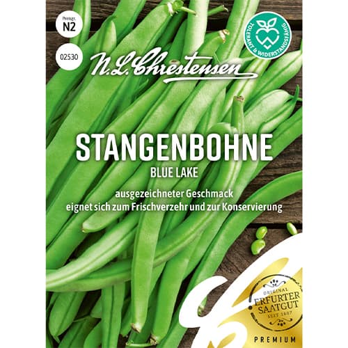 Stangebohne Blue Lake interface.art Bild 1 Stangebohne Blue Lake interface.image 1 interface.art 86096