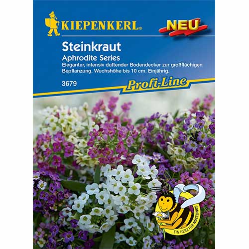 Steinkraut Aphrodite Series interface.art Bild 1 Steinkraut Aphrodite Series interface.image 1 interface.art 96586