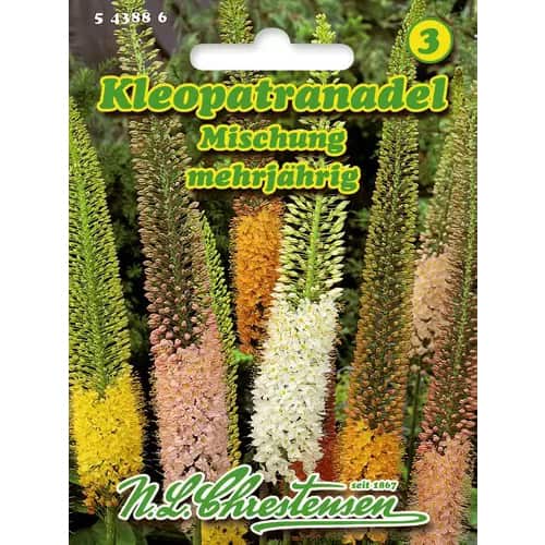 Kleopatranadel Mischung interface.image 1 interface.art 96419