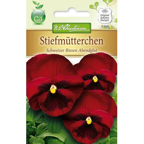 Stiefmütterchen Schweizer Riesen Abendglut interface.art Bild 1 Stiefmütterchen Schweizer Riesen Abendglut interface.image 1 interface.art 78965