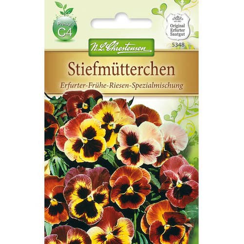 Stiefmütterchen Frühe Riesen Spezial interface.image 1 interface.art 78964