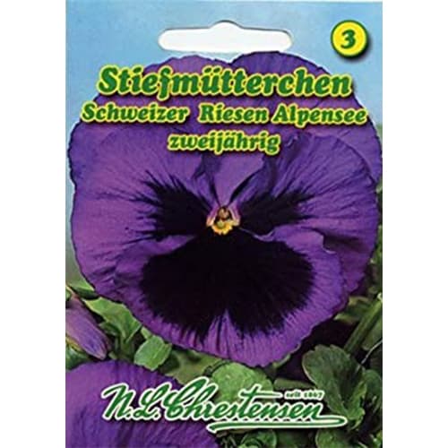 Stiefmütterchen Schweizer Riesen Alpensee interface.art Bild 1 Stiefmütterchen Schweizer Riesen Alpensee interface.image 1 interface.art 87820