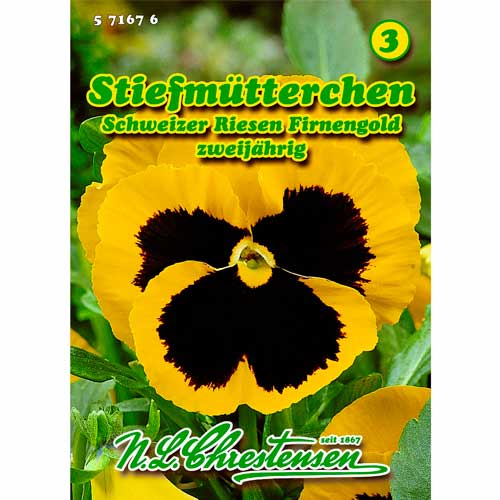 Stiefmütterchen Schweizer Riesen Firnengold Chrestensen  interface.art Bild 1 Stiefmütterchen Schweizer Riesen Firnengold Chrestensen  interface.image 1 interface.art 50038