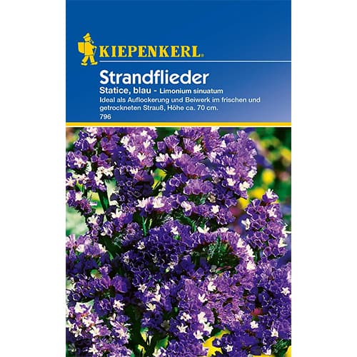 Strandflieder Statice blau interface.image 1 interface.art 77420