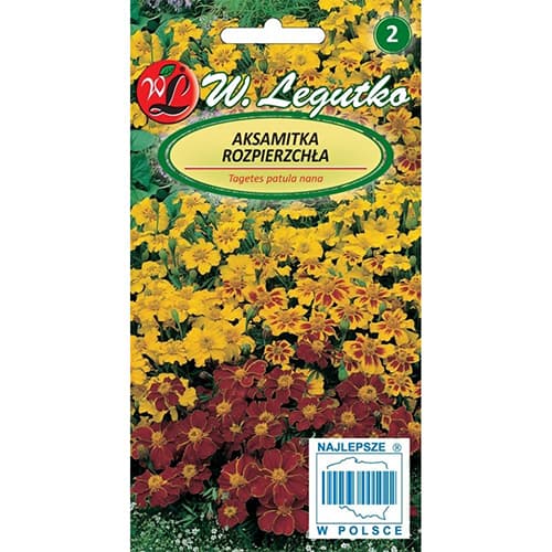 Studentenblume Bonanza Mischung interface.image 1 interface.art 69658