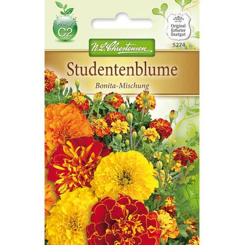 Studentenblume Bonita Mischung interface.art Bild 1 Studentenblume Bonita Mischung interface.image 1 interface.art 78943