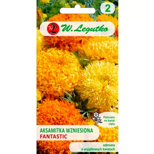 Studentenblume Fantastic gelb mischung Legutko interface.image 1 interface.art 69554