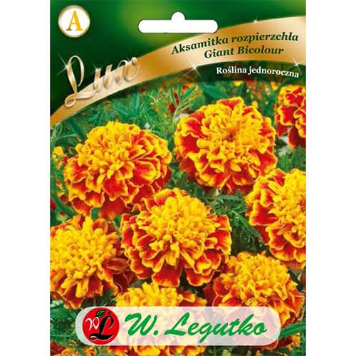 Studentenblume Giant Bicolour dunkelrot interface.image 1 interface.art 78650