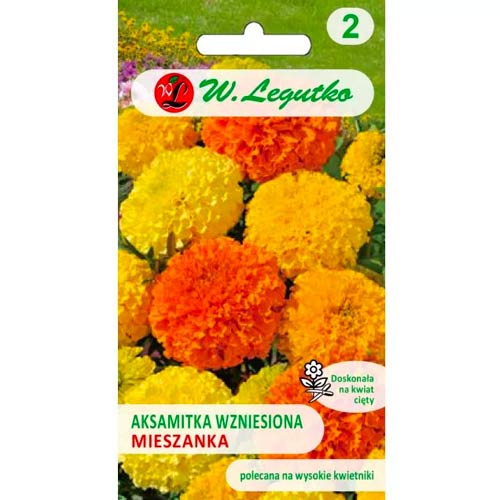 Studentenblume hoch mischung Legutko interface.image 1 interface.art 50082