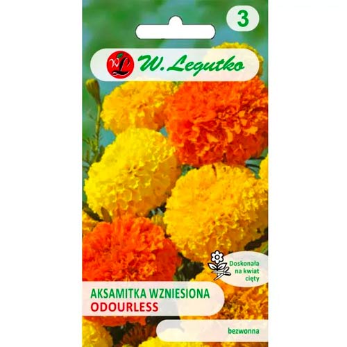 Studentenblume Hohe mischung Legutko interface.image 1 interface.art 50080