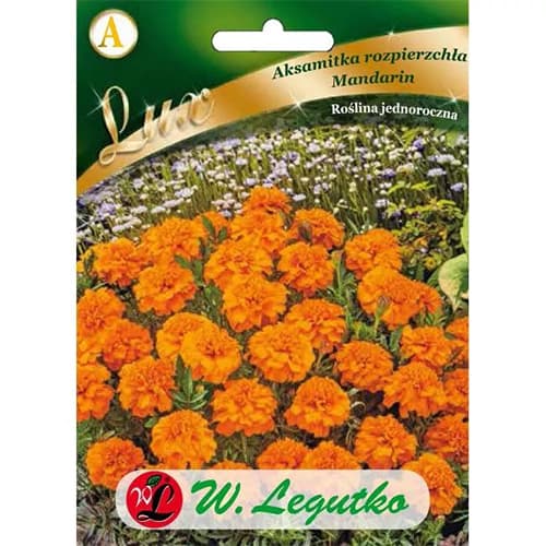 Studentenblume Mandarin orange interface.art Bild 1 Studentenblume Mandarin orange interface.image 1 interface.art 86738