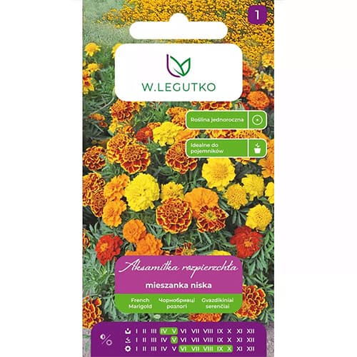 Studentenblume Mischung interface.image 1 interface.art 69551