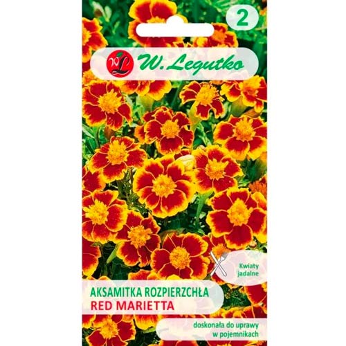 Studentenblume Red Marietta Legutko interface.image 1 interface.art 69553