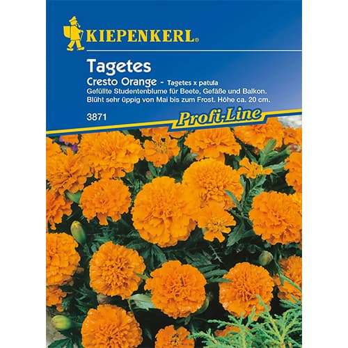 Tagetes Cresto Orange interface.art Bild 1 Tagetes Cresto Orange interface.image 1 interface.art 86344