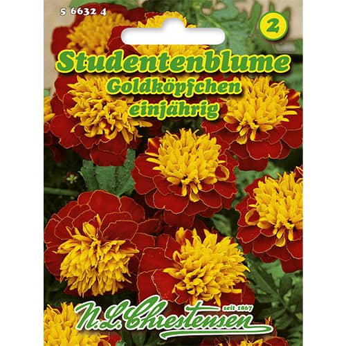 Studentenblume Goldköpfchen interface.art Bild 1 Studentenblume Goldköpfchen interface.image 1 interface.art 86207