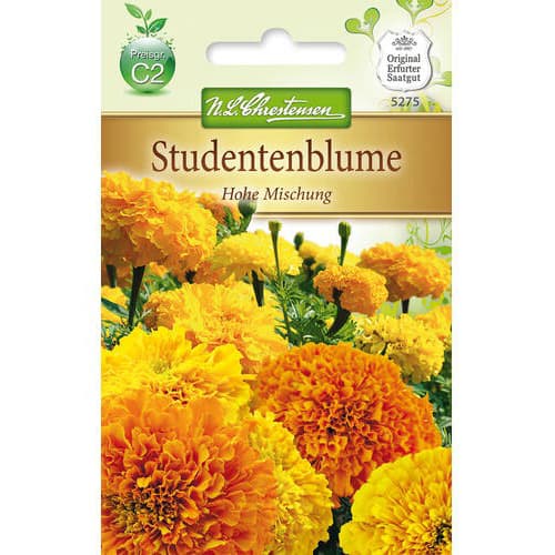 Studentenblume Hohe Mischung interface.art Bild 1 Studentenblume Hohe Mischung interface.image 1 interface.art 78944