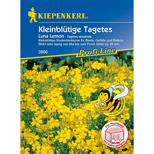 Tagetes Luna Lemon interface.art Bild 1 Tagetes Luna Lemon interface.image 1 interface.art 86347